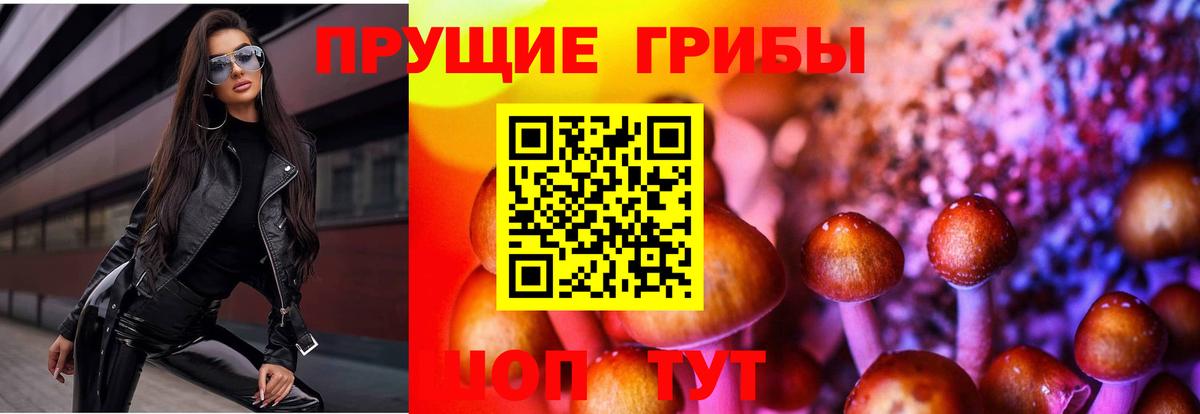 Воскресенск  Псилоцибиновые грибы Psilocybe  Вход с VPN  Псилоцибиновые грибы GOLDEN TEACHER 